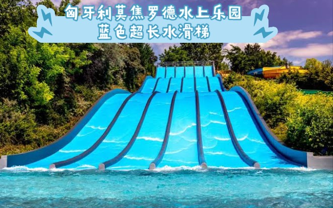 2026河南游乐行业发展交流会成功举办共